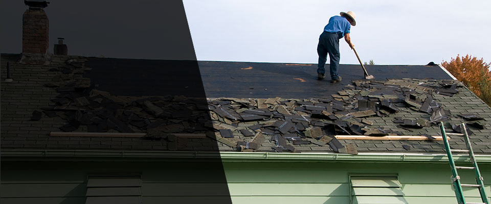 Muse Roofing Contractors